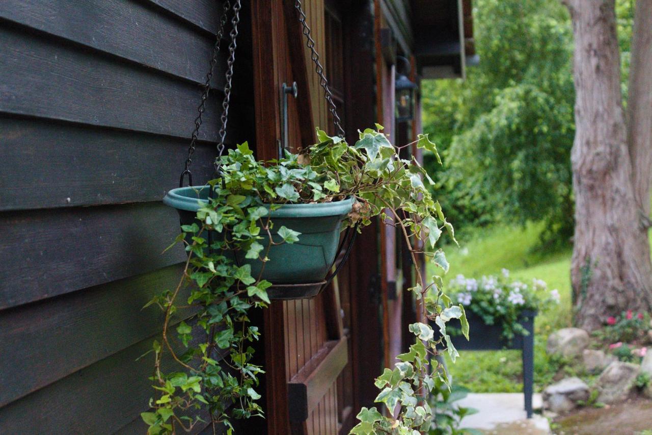 Chalet Des Sept Pins Villa Marles-sur-Canche Exterior foto